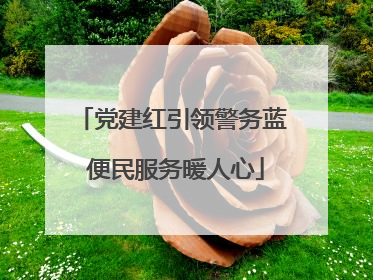党建红引领警务蓝 便民服务暖人心